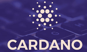 Cardano casino